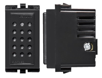 S17 MODULO CHICHARRA 250V NOIR 174306