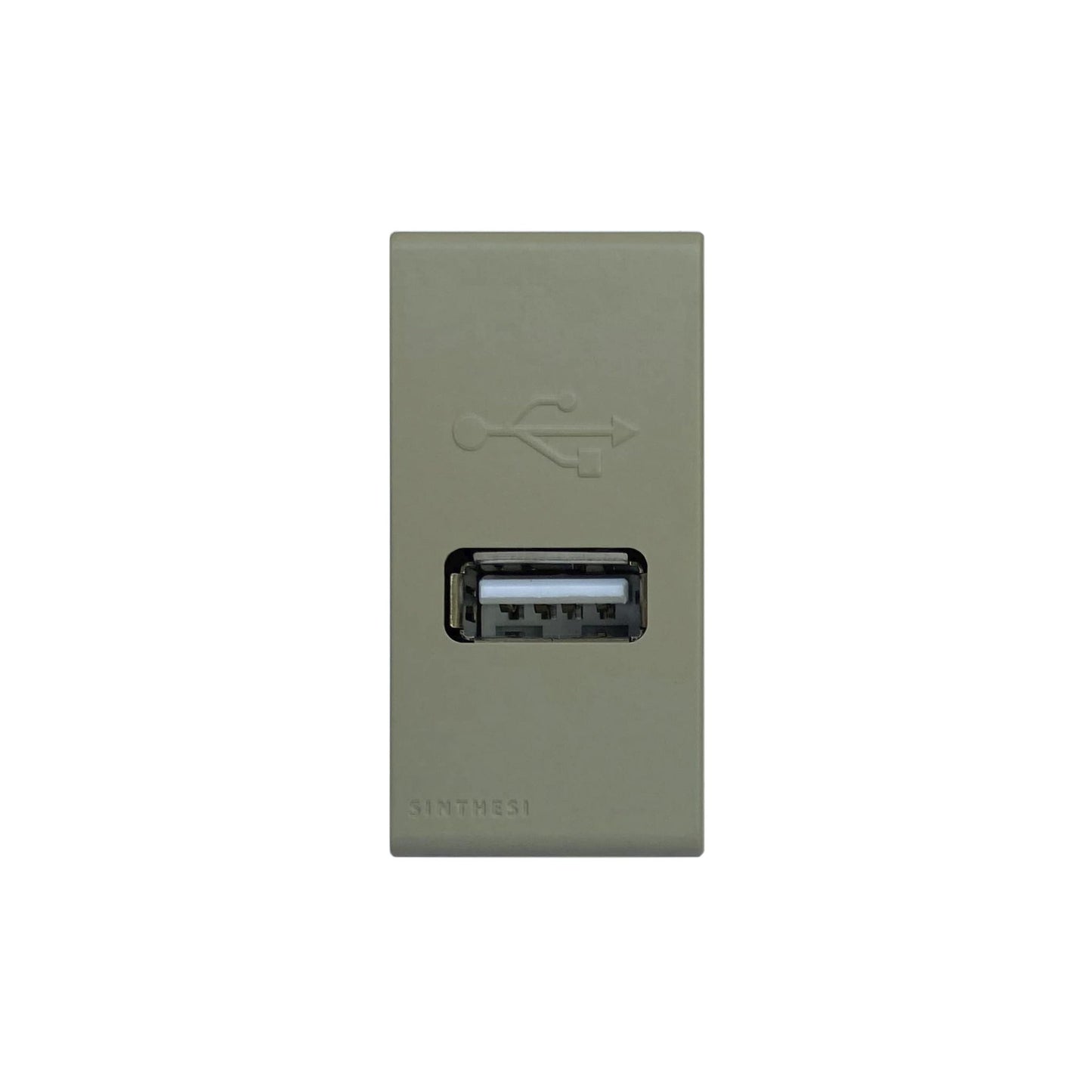 S33 MODULO CARGADOR USB 1A BEIGE/MATE 334722