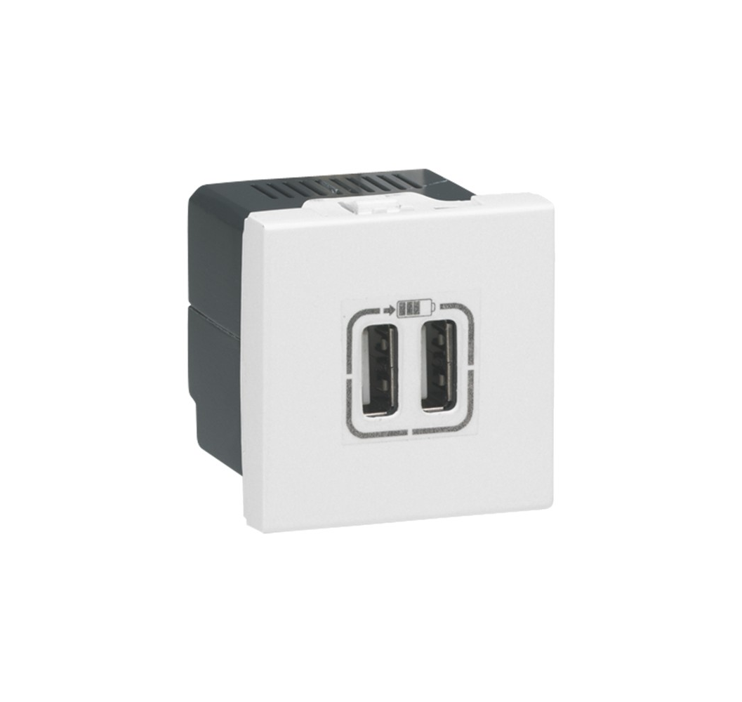 L077594  CARGADOR USB 2 MOD.