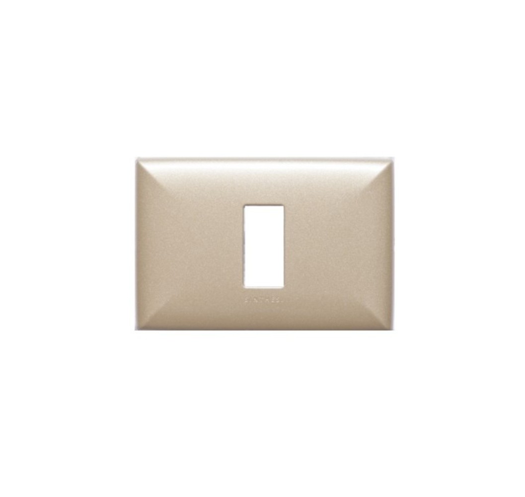 S17 TAPA 1 PUESTO BRONCE 170131