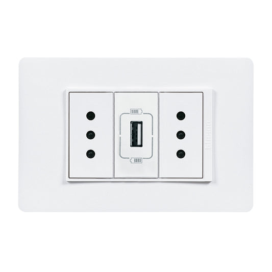 LUZICA ENCHUFE DOBLE 10A + CARGADOR USB  PU1314