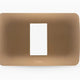 LEXO PLACA 1 PUESTO TITANIO 5360101E