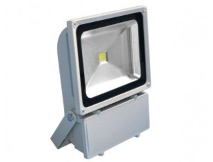 PROYECTOR LED 100W BLANCO FRIO