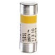 L011302 FUSIBLE 2A.250V S/IND.